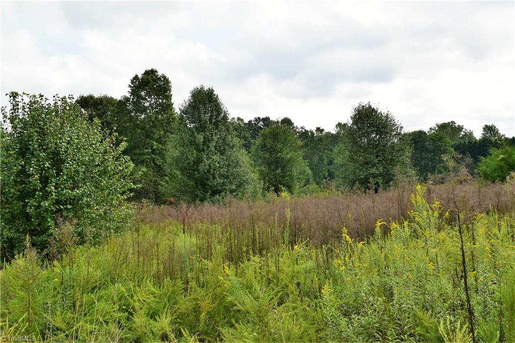 627 Gray-Wilson Road Colfax, NC 27235 - Photo 12 of 16 Gallery Image 12