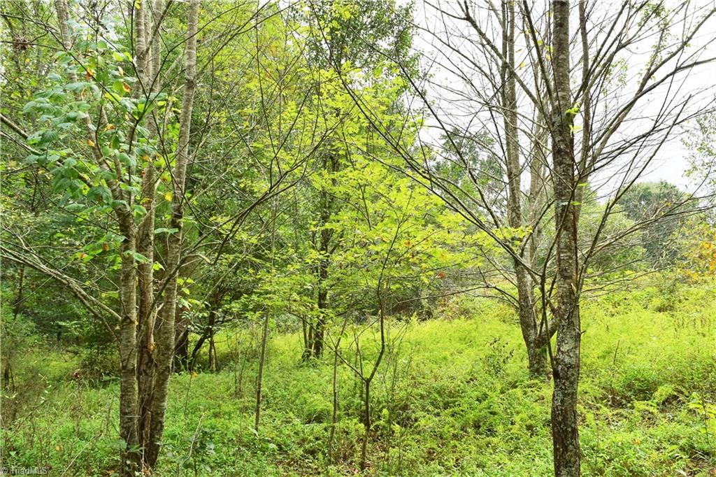627 Gray-Wilson Road Colfax, NC 27235 - Photo 3 of 16 Gallery Image 3