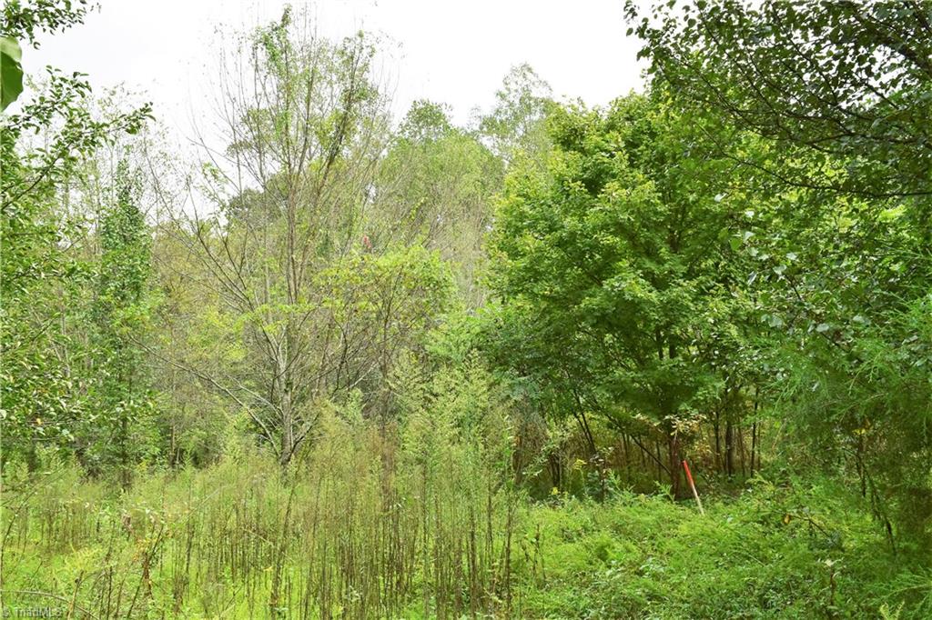627 Gray-Wilson Road Colfax, NC 27235 - Photo 4 of 16 Gallery Image 4