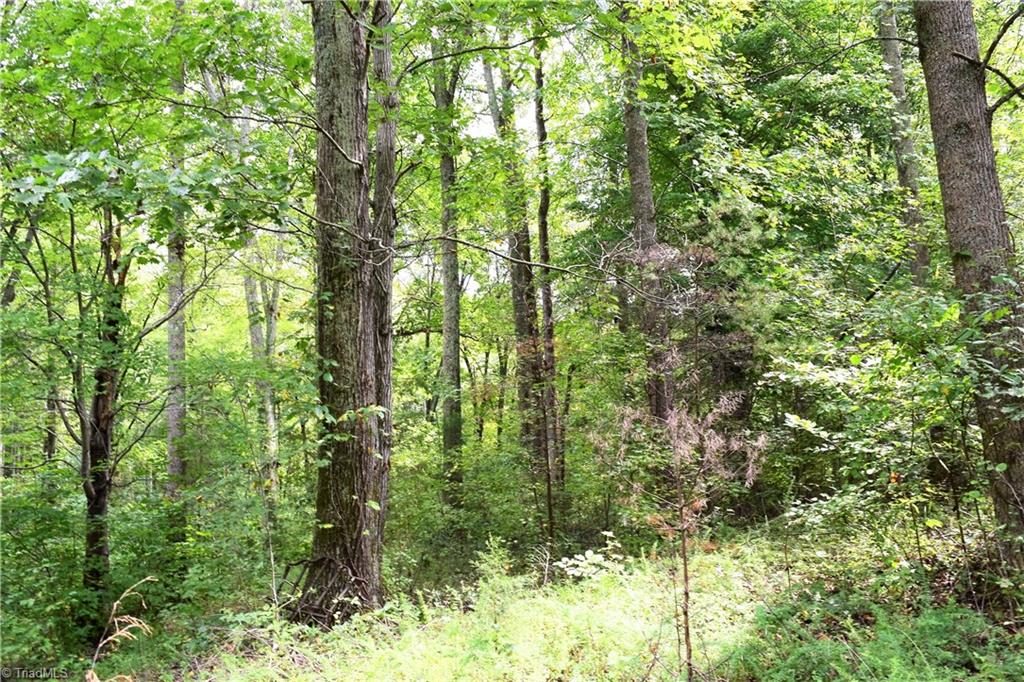 627 Gray-Wilson Road Colfax, NC 27235 - Photo 5 of 16 Gallery Image 5