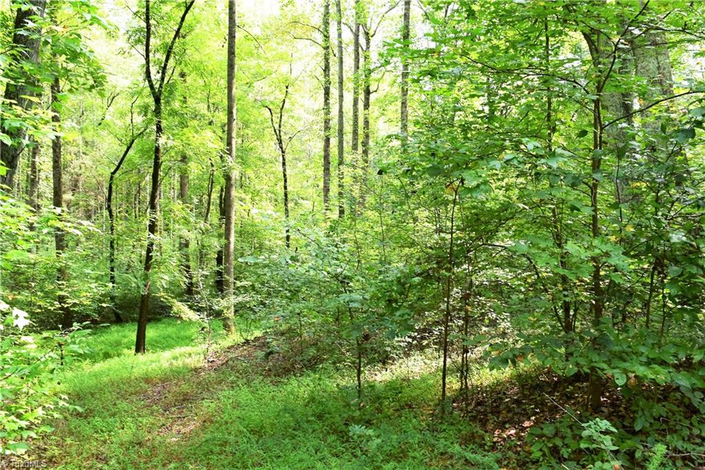627 Gray-Wilson Road Colfax, NC 27235 - Photo 6 of 16 Gallery Image 6