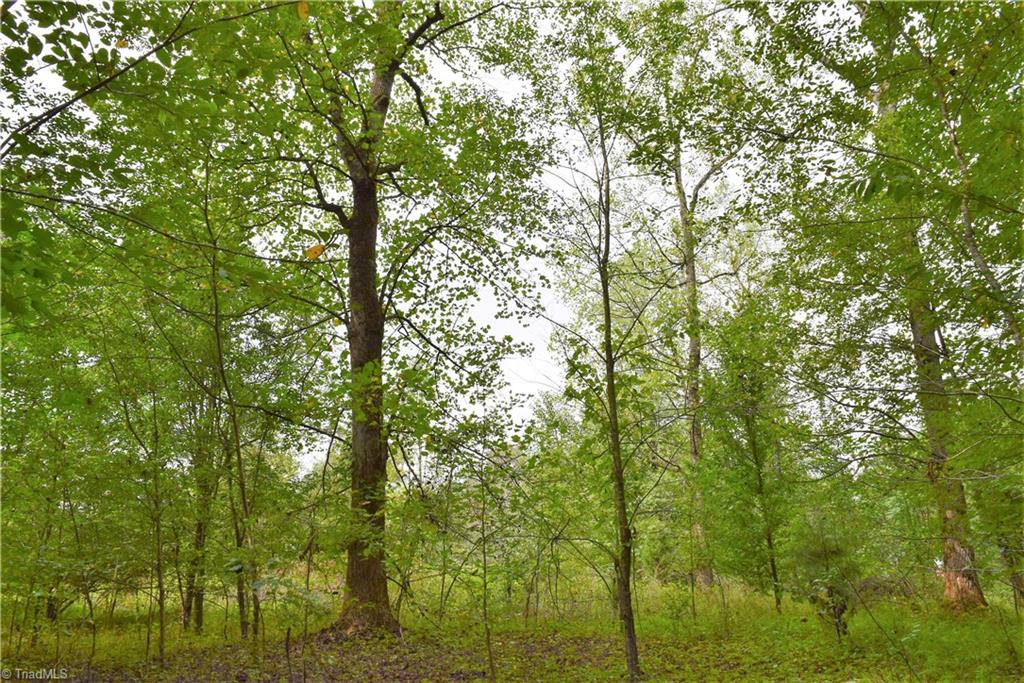627 Gray-Wilson Road Colfax, NC 27235 - Photo 8 of 16 Gallery Image 8