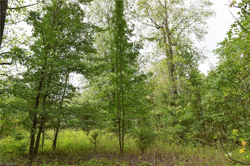 627 Gray-Wilson Road Colfax, NC 27235 - Photo 9 of 16 Gallery Image 9