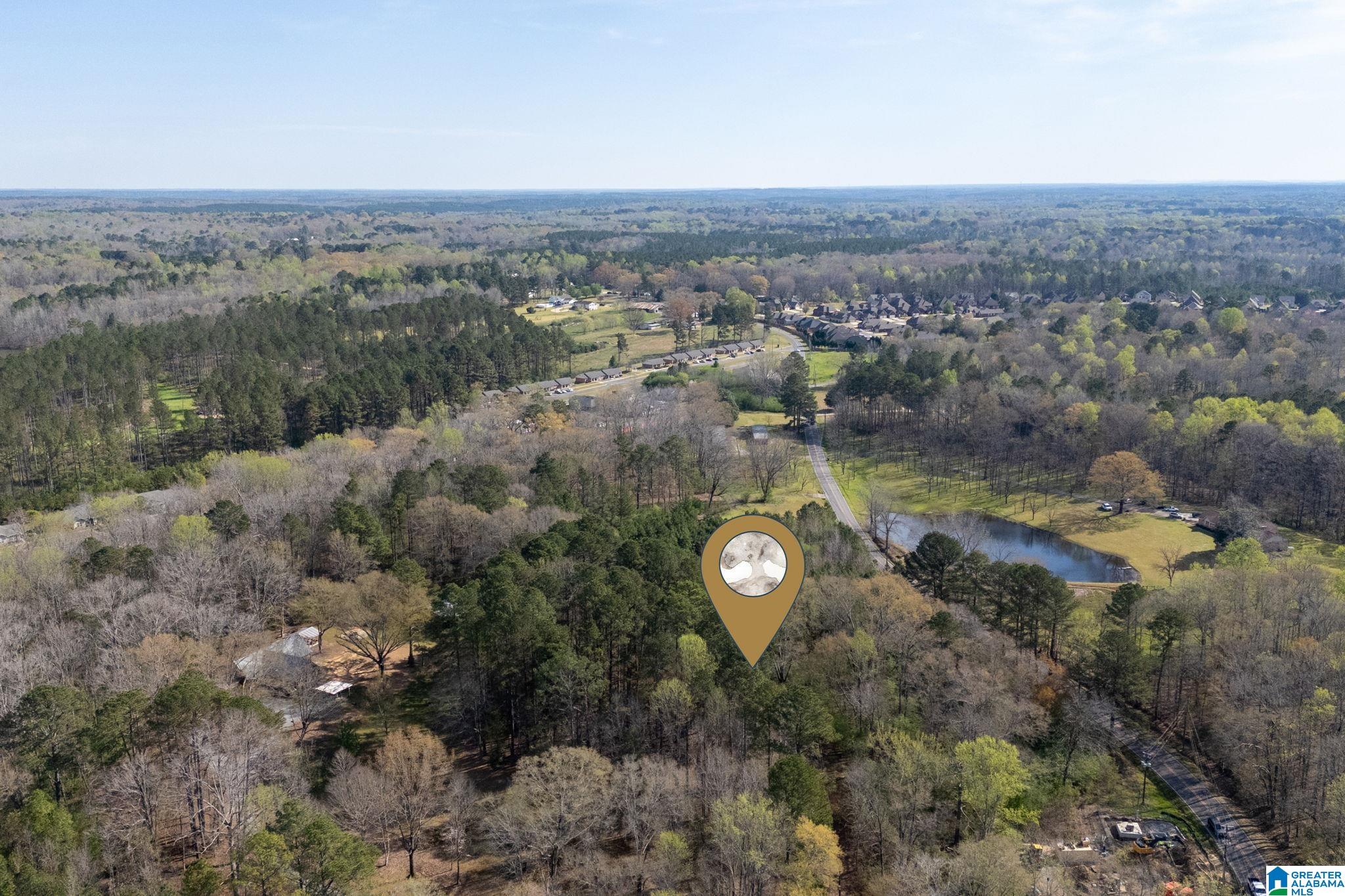 358 Blackwell Dairy Road Jasper, AL 35501 - Photo 13 of 22