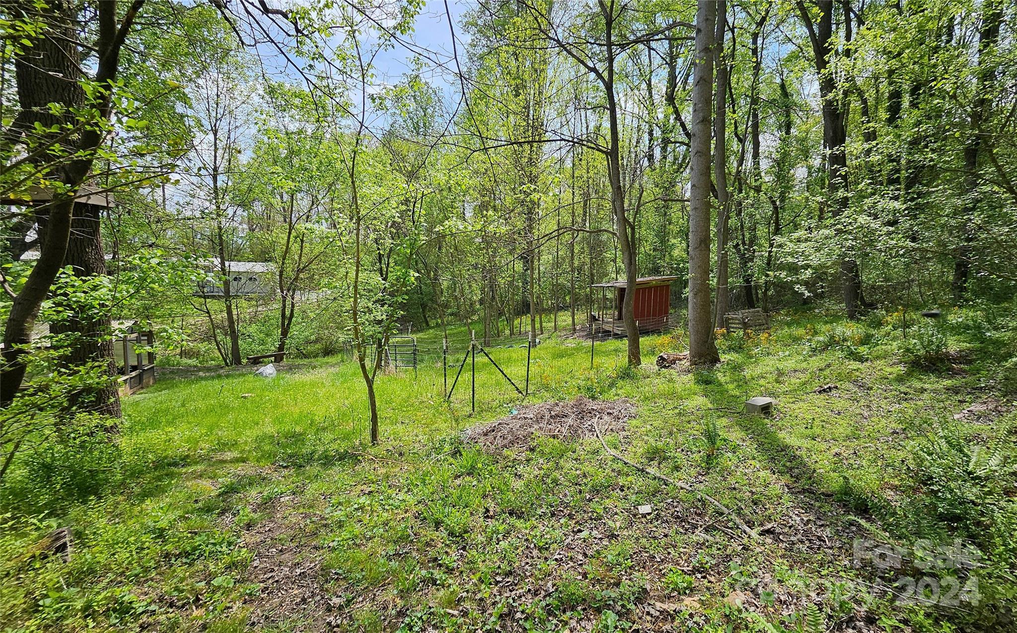 18 Rocky Slope Road Asheville, NC 28804 - Photo 30 of 41 a view of garden