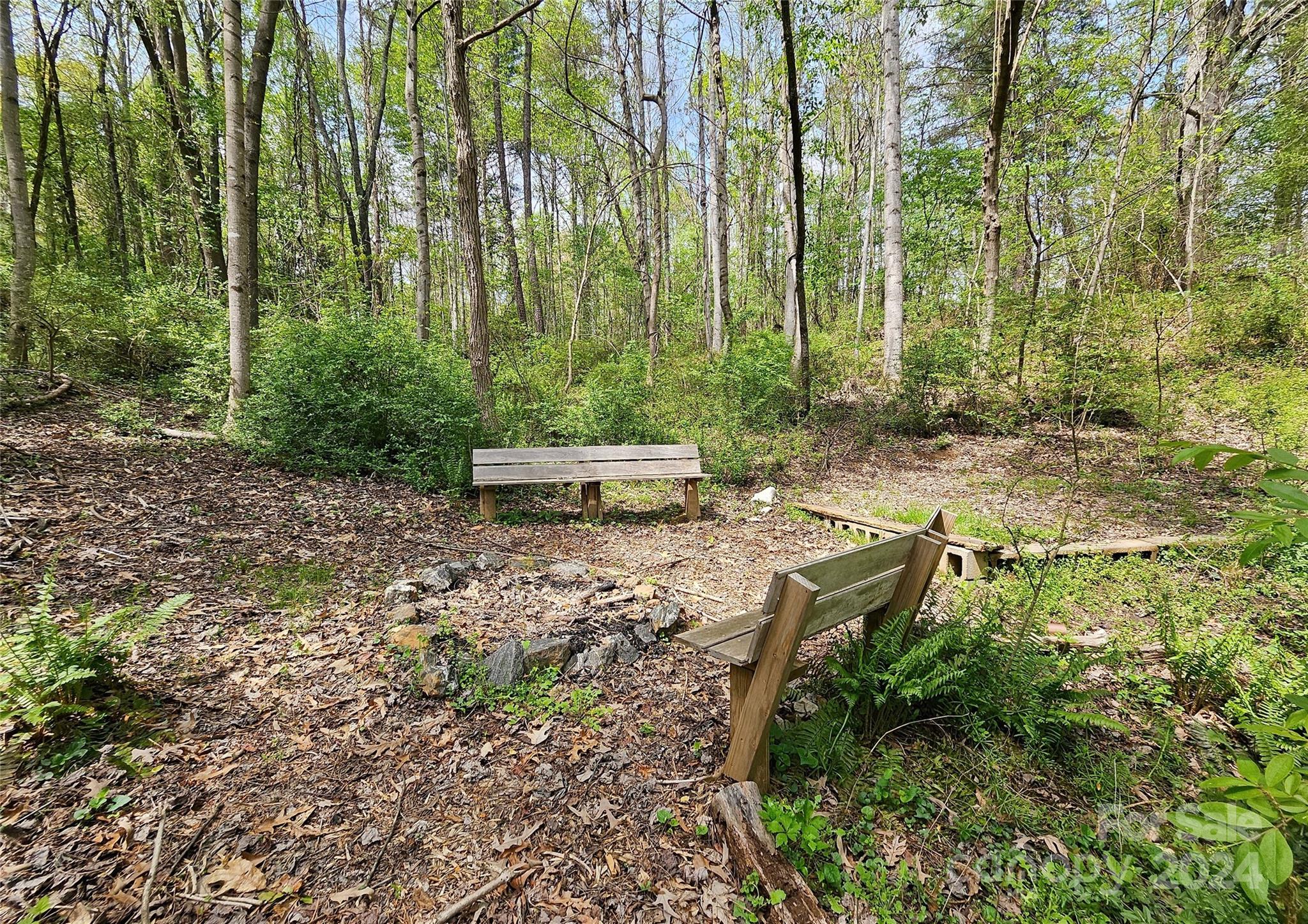 18 Rocky Slope Road Asheville, NC 28804 - Photo 31 of 41 a view of a yard with plants and large trees