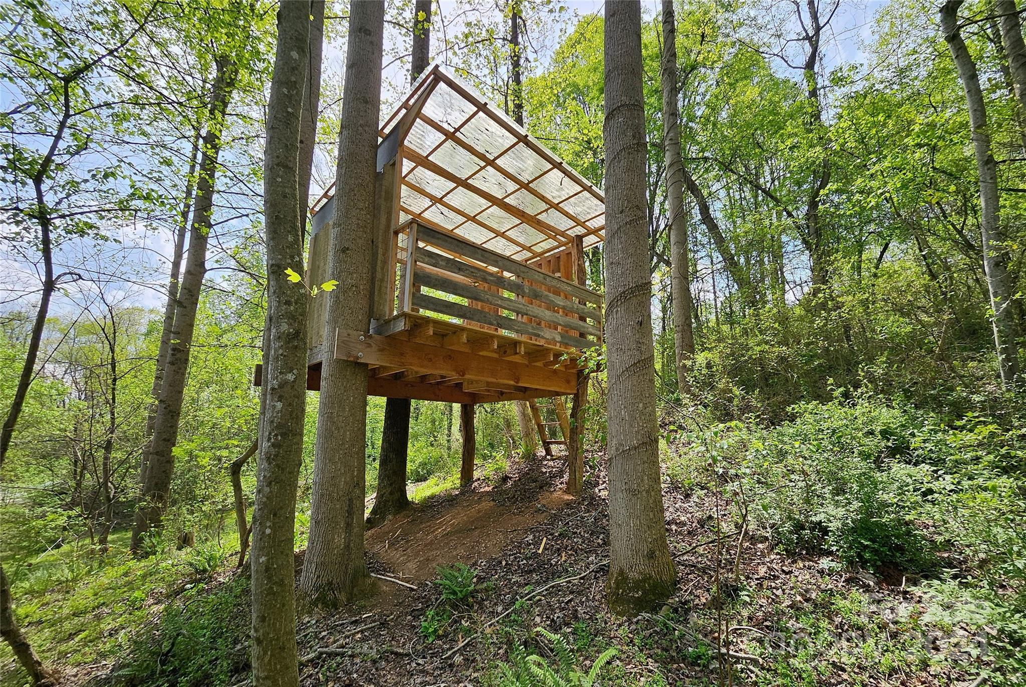 18 Rocky Slope Road Asheville, NC 28804 - Photo 32 of 41 a view of a yard with plants and large trees