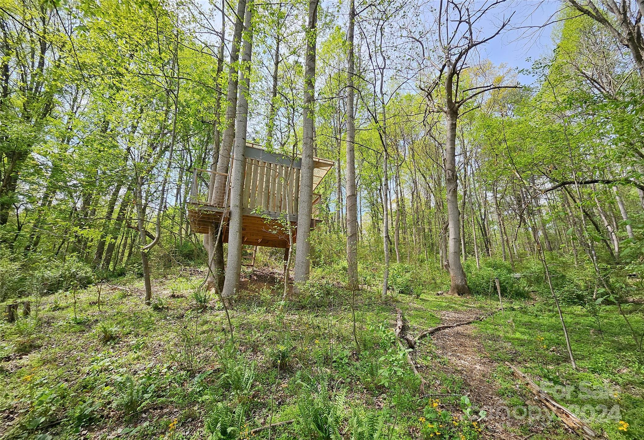 18 Rocky Slope Road Asheville, NC 28804 - Photo 33 of 41 a garden view
