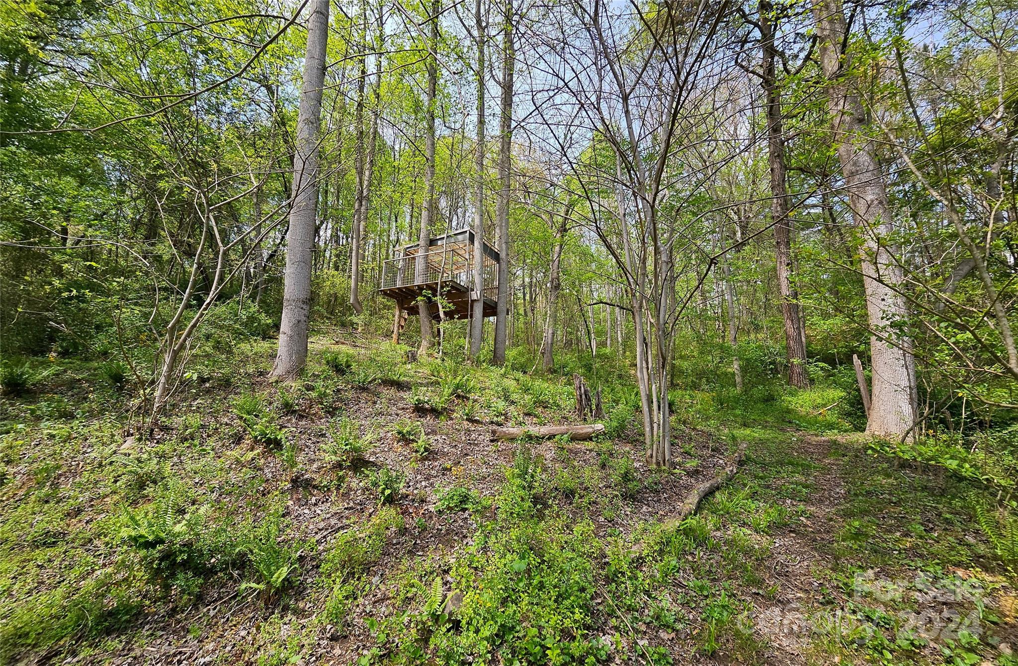 18 Rocky Slope Road Asheville, NC 28804 - Photo 34 of 41 a view of outdoor space and trees