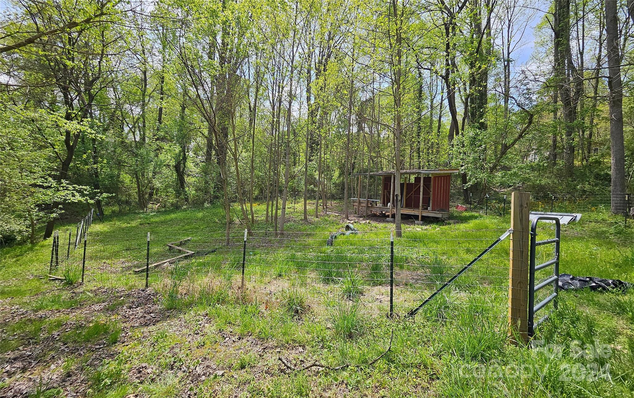 18 Rocky Slope Road Asheville, NC 28804 - Photo 35 of 41 a view of garden with a tree