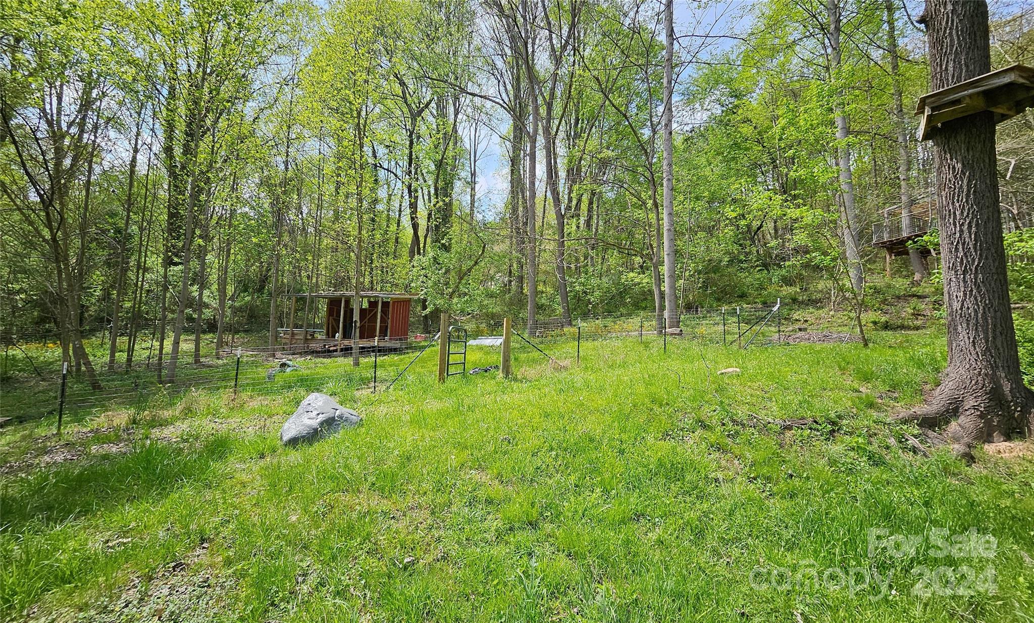 18 Rocky Slope Road Asheville, NC 28804 - Photo 37 of 41 a view of a garden with a tree