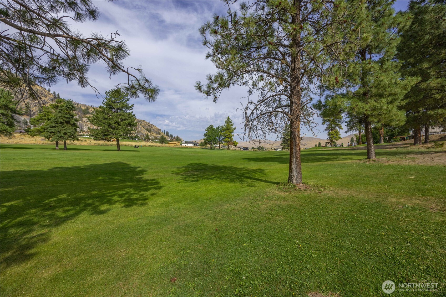 103 Golf Course Drive Pateros, WA 98846 - Photo 12 of 24 a view of a trees in a park