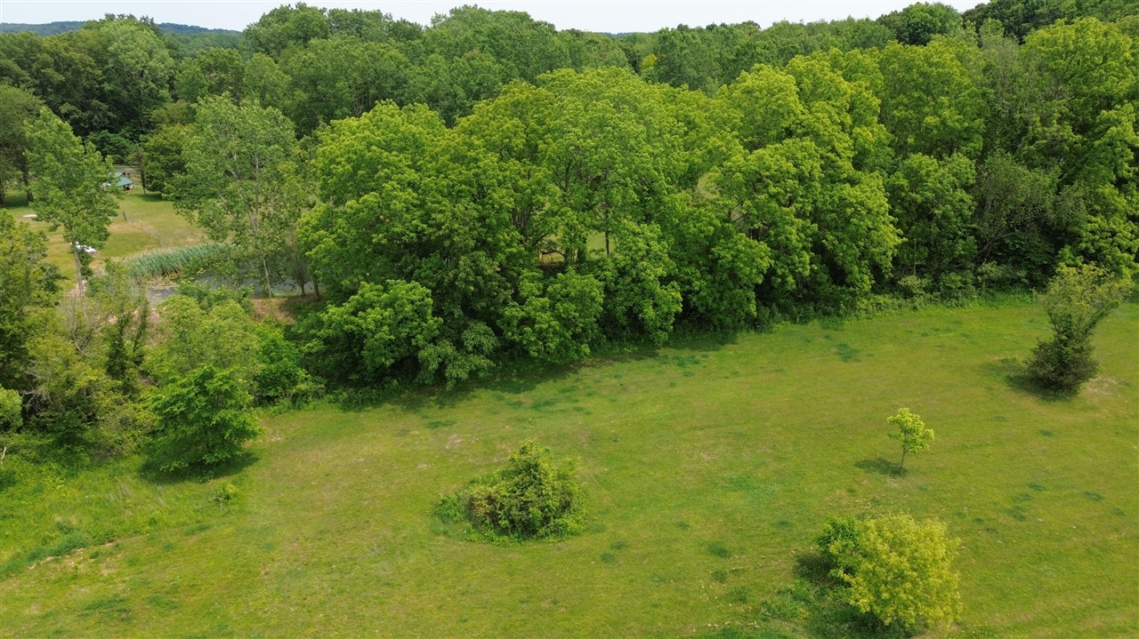 17281 Ely Road Manchester, MI 48158 - Photo 59 of 90