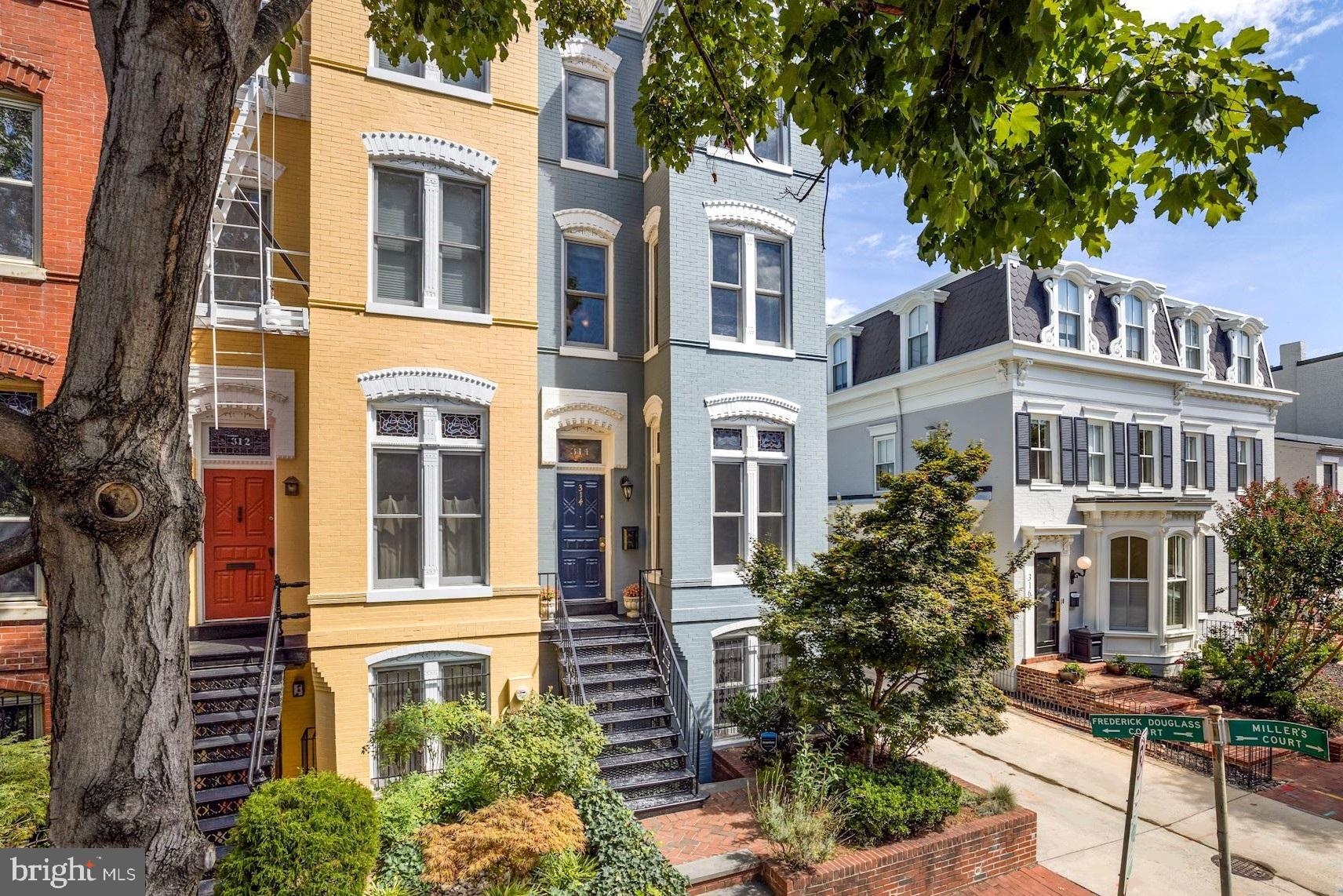 A quiet tree-lined street