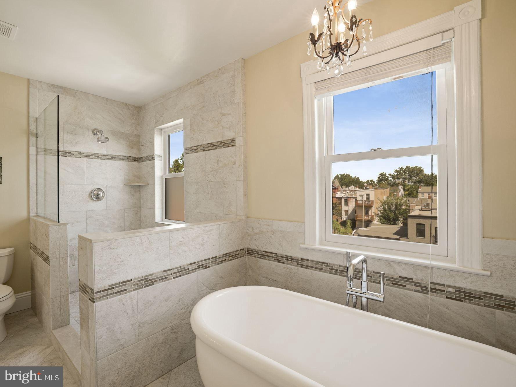 314 A Street Northeast Washington, DC 20002 - Photo 20 of 40 Separate Shower and Soaking Tub w/ City Vistas