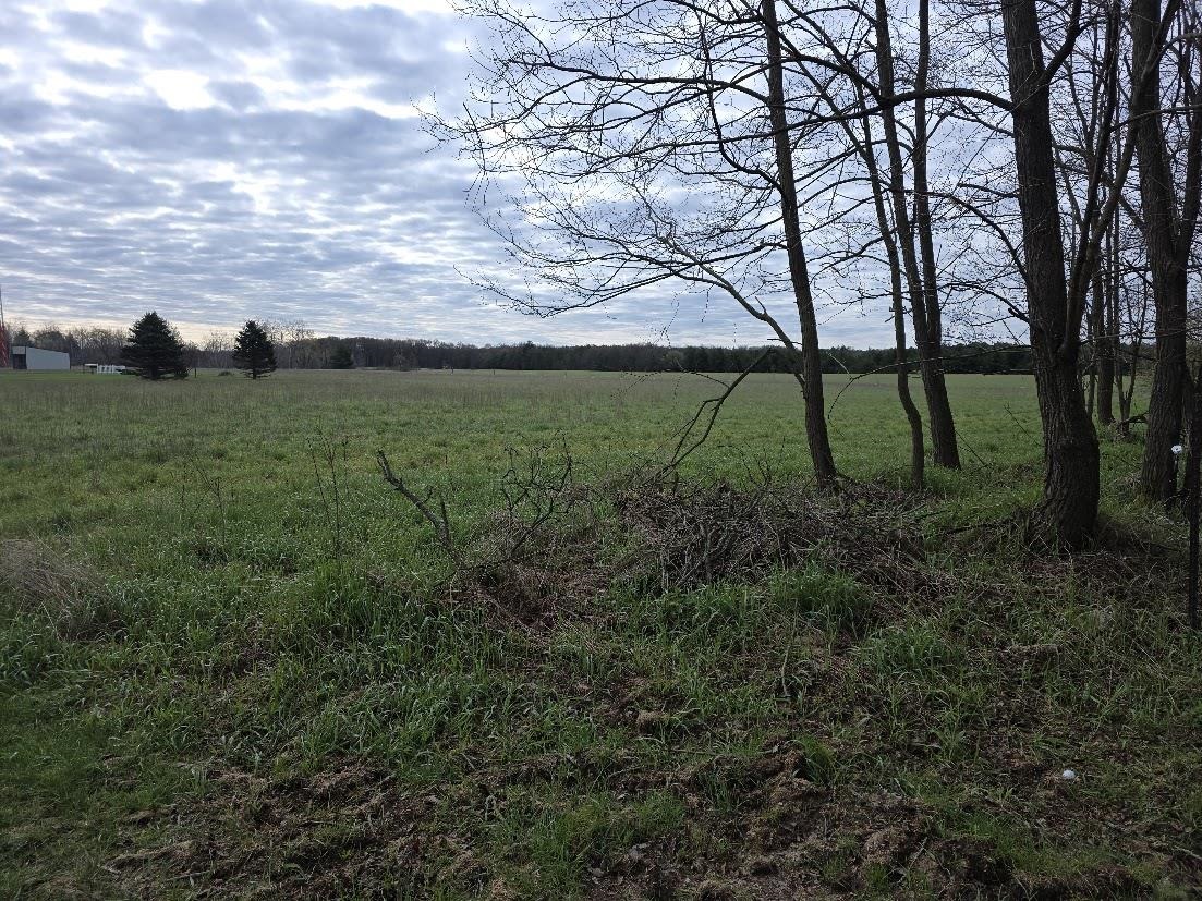 W7095 County Rd Gh Wild Rose, WI 54984 - Photo 22 of 24