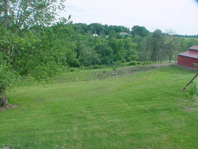 22053 Township Line Road Minerva, OH 44657 - Photo 11 of 16