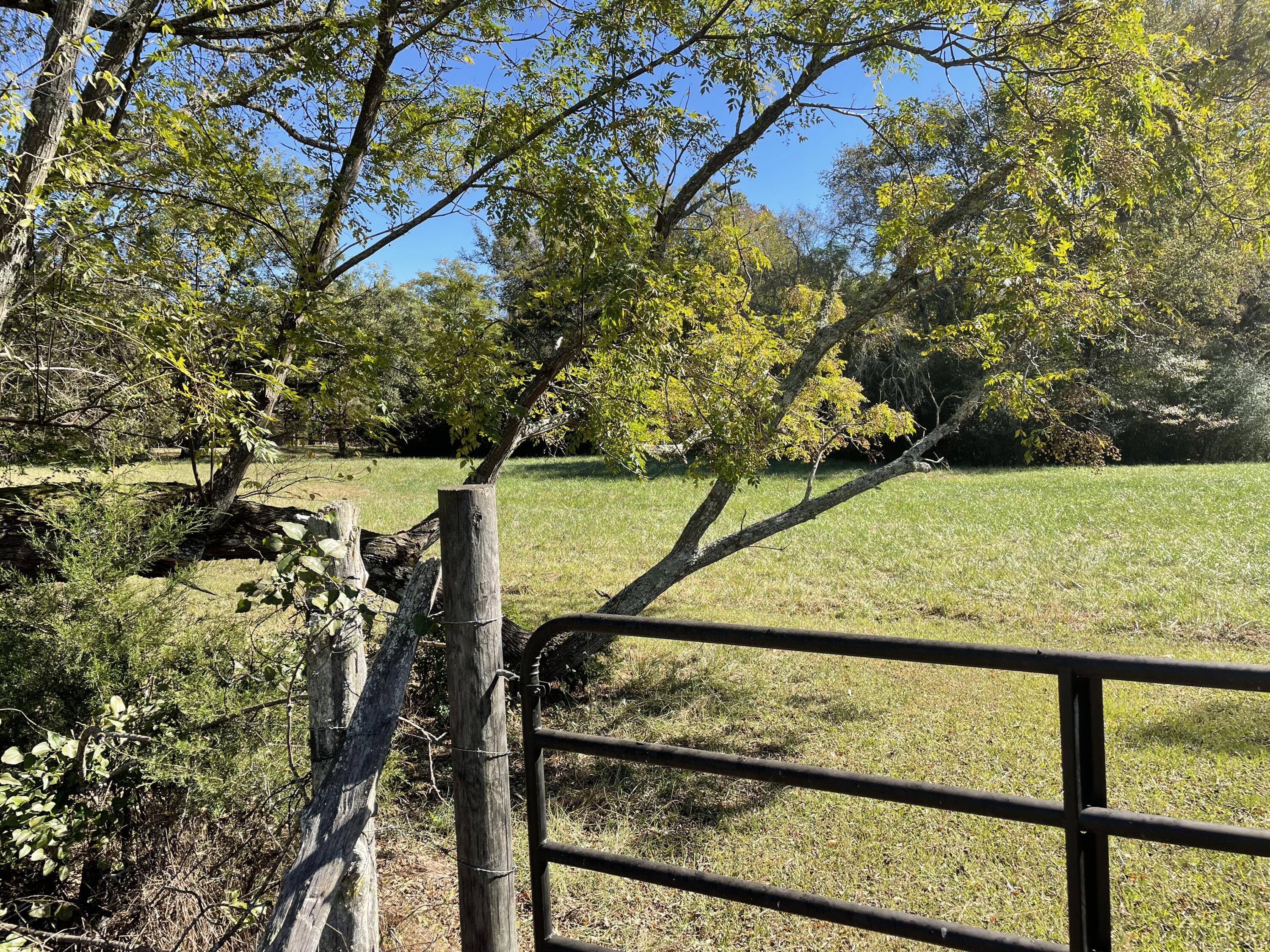 376 Old Vienna Road Abbeville, SC 29620 - Photo 11 of 31