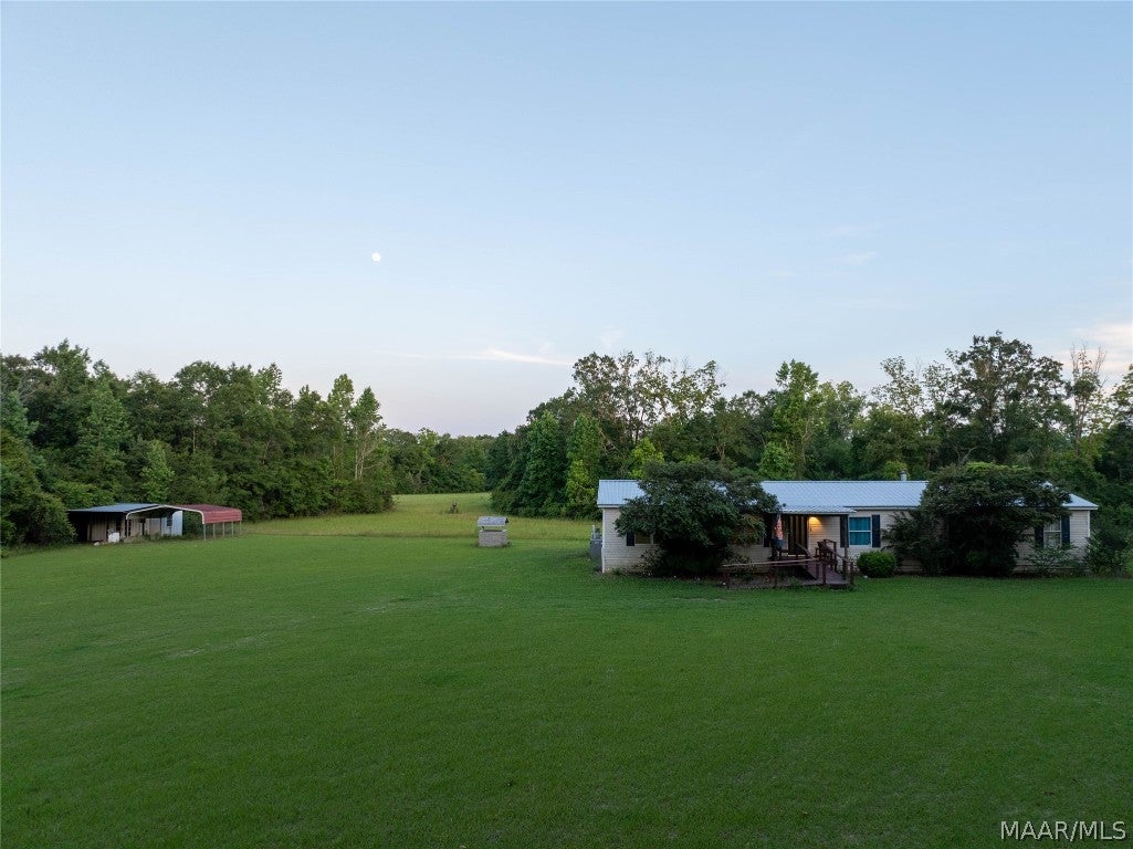 921 Mixon Miller Road Samson, AL 36477 - Photo 18 of 54 Gallery Image 18