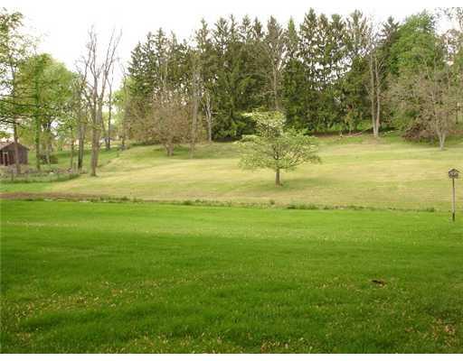 511 Conley Drive McKees Rocks, PA 15136 - Photo 8 of 8 Yard/Garden.