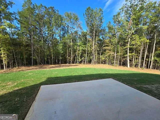 a view of green field