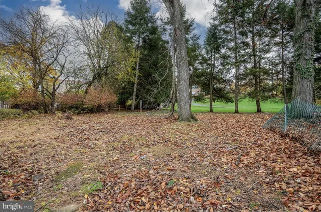 a view of a yard with a tree
