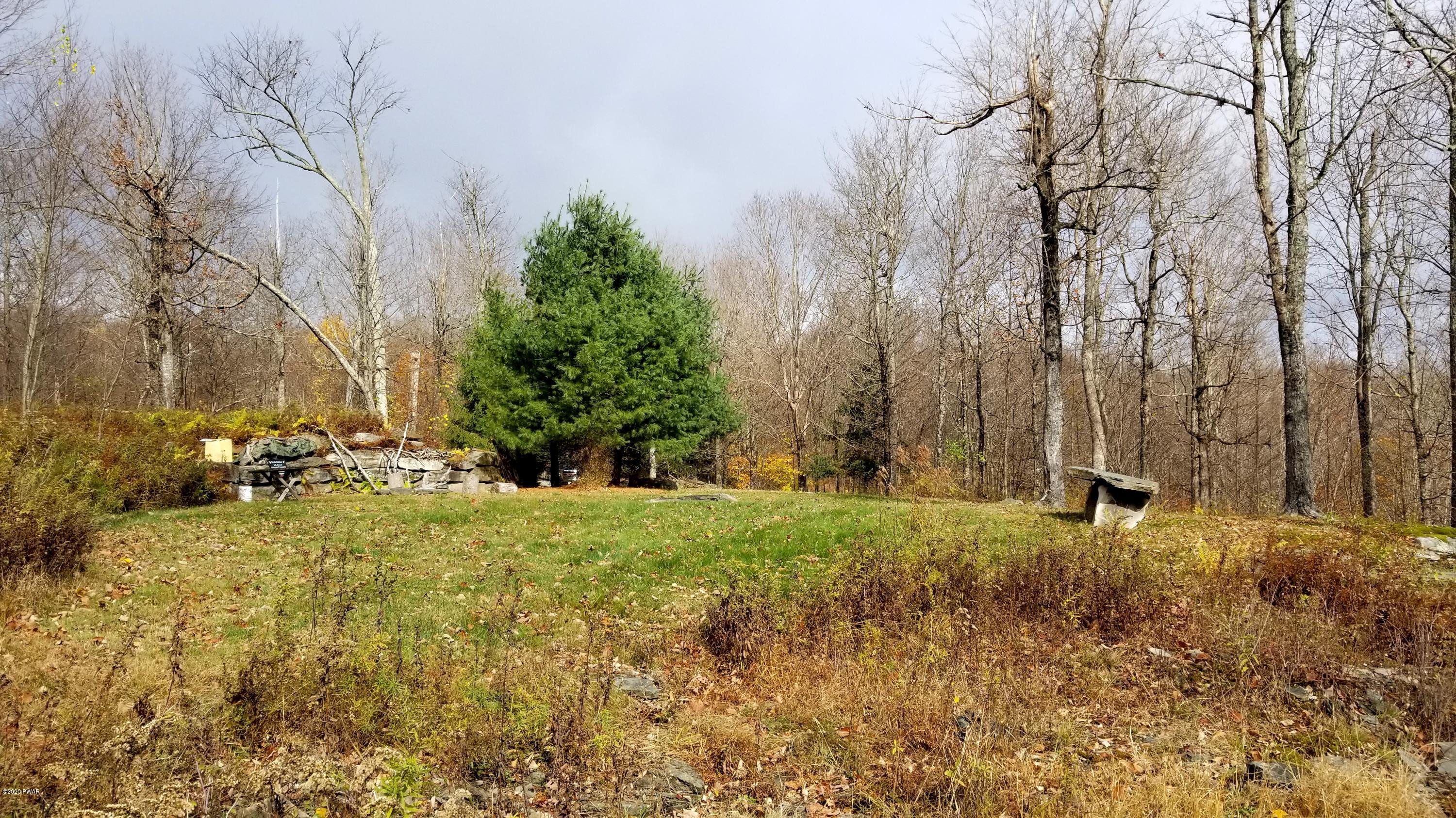 Lot 63 Old Woods Road Equinunk, PA 18417 - Photo 20 of 63