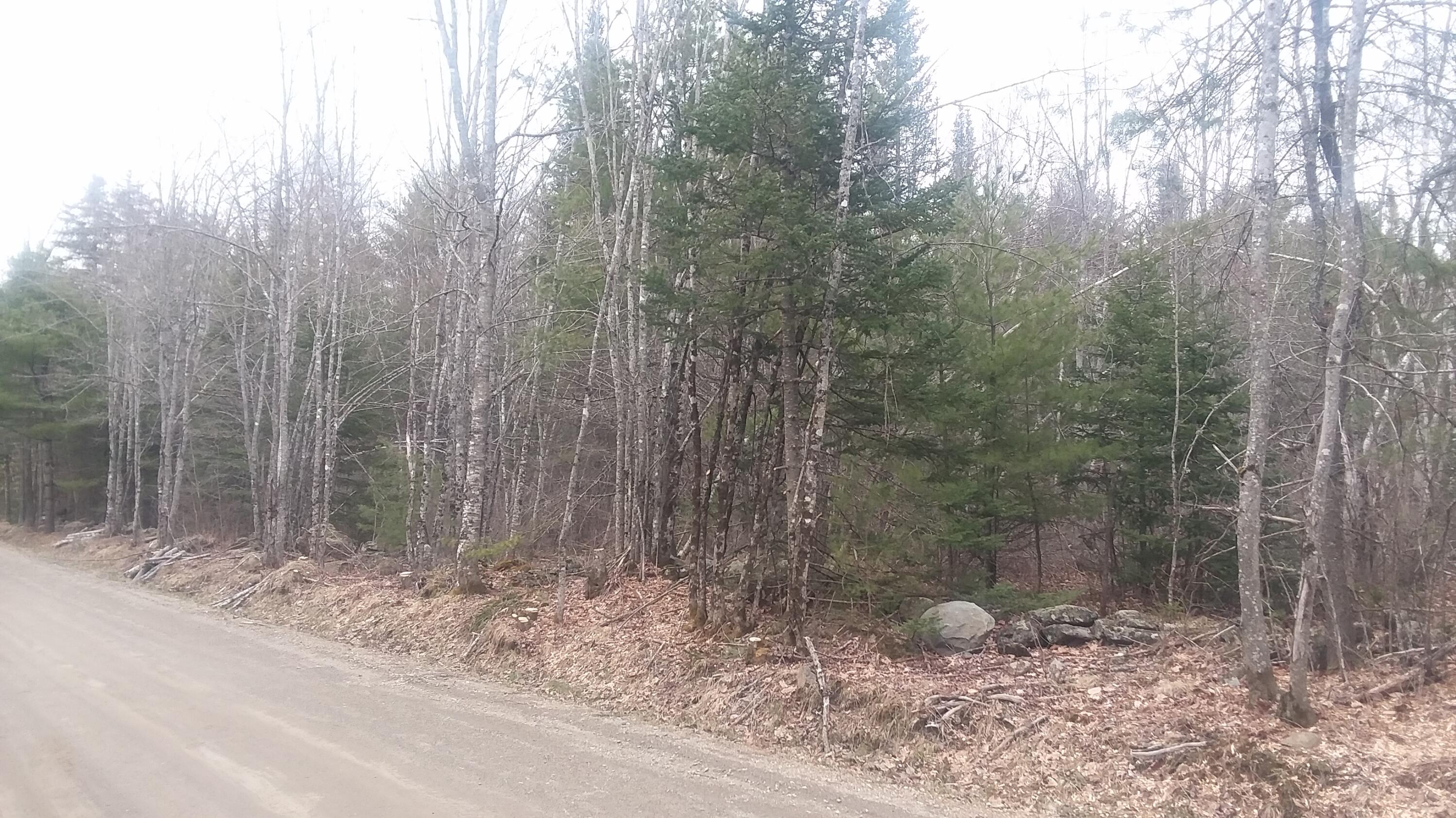 0 Collinstown Road Liberty, ME 04949 - Photo 2 of 5 20220421_154621