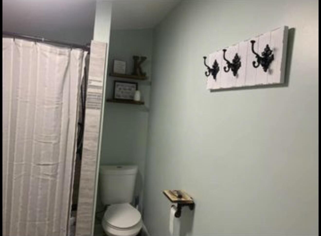 120 7th Street Calhoun, TN 37309 - Photo 16 of 17 a bathroom with a toilet and a shower curtain