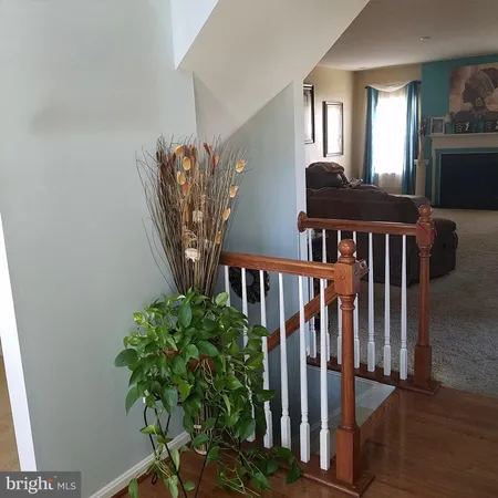 a view of staircase with wooden floor and a potted plant
