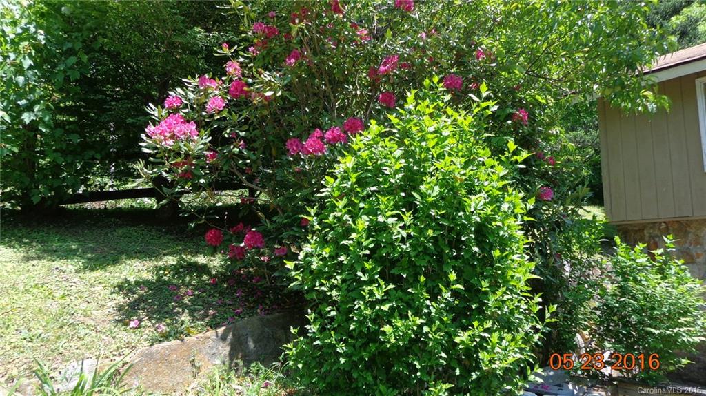 1722 Buff Creek Road, Unit 1 Sylva, NC 28779 - Photo 3 of 24 Gallery Image 3