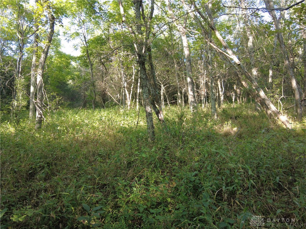 21 Gray Road Manchester, OH 45144 - Photo 22 of 25