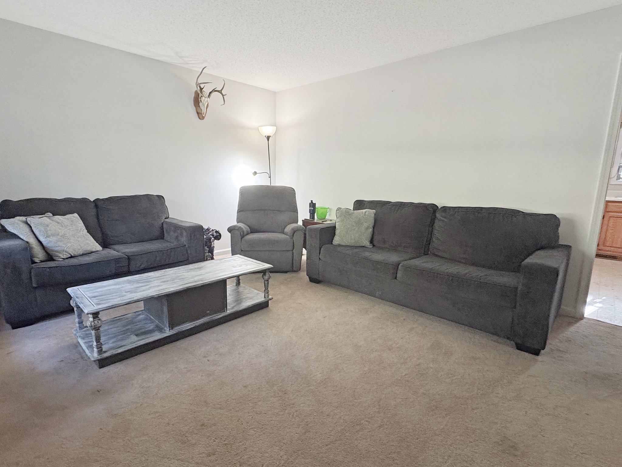 127 Lena Sykes Road Dover, TN 37058 - Photo 3 of 26 a living room with furniture