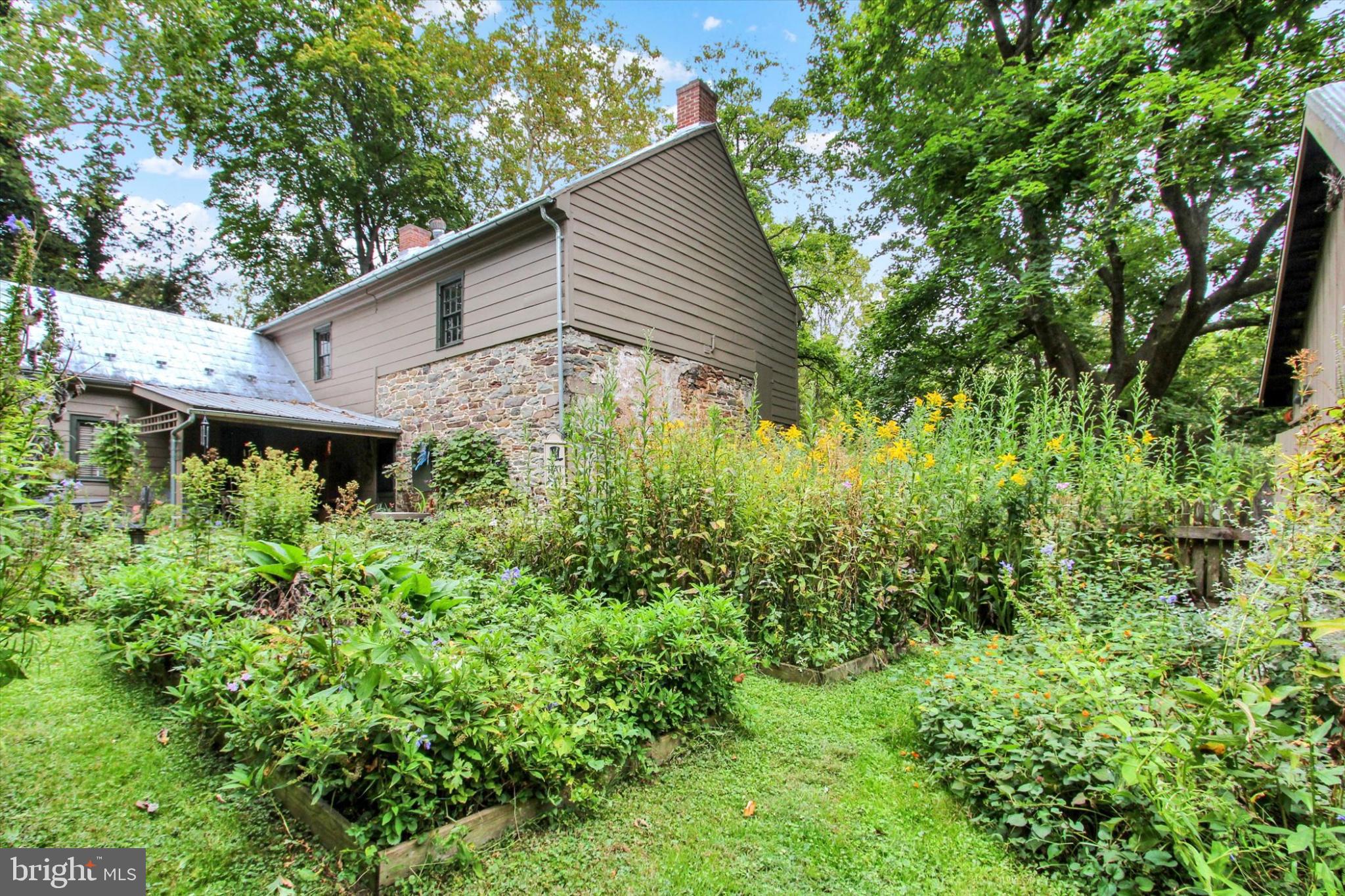 a backyard of a house with plants and tree