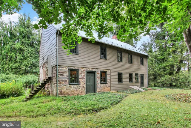 a view of a backyard with plants and large trees
