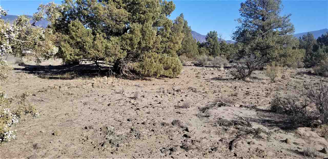 Lot 4 Lost Mine Road Montague, CA 96064 - Photo 3 of 8 Gallery Image 3