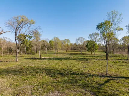 $441,600 | Lot 6 Johnson Drive, Livingston, TX 77351
