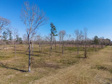 $441,600 | Lot 6 Johnson Drive, Livingston, TX 77351