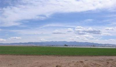 10 Turkey Trot Road, Unit AC Pearce, AZ 85625 - Photo 3 of 3