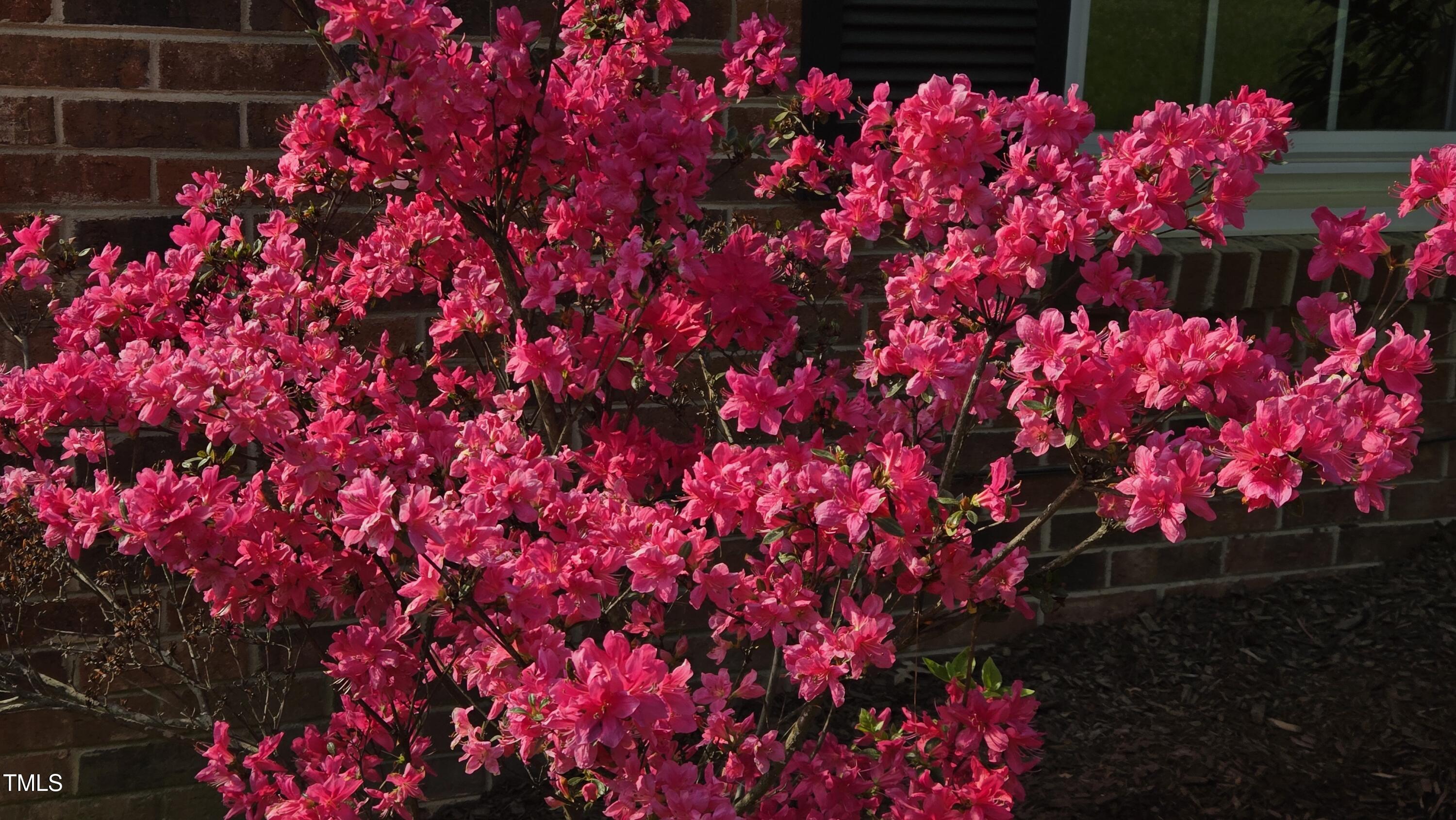 505 Forest Road Oxford, NC 27565 - Photo 29 of 31