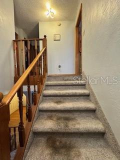 910 Big Tree Road, Unit 72 South Daytona, FL 32119 - Photo 13 of 21 Gallery Image 13