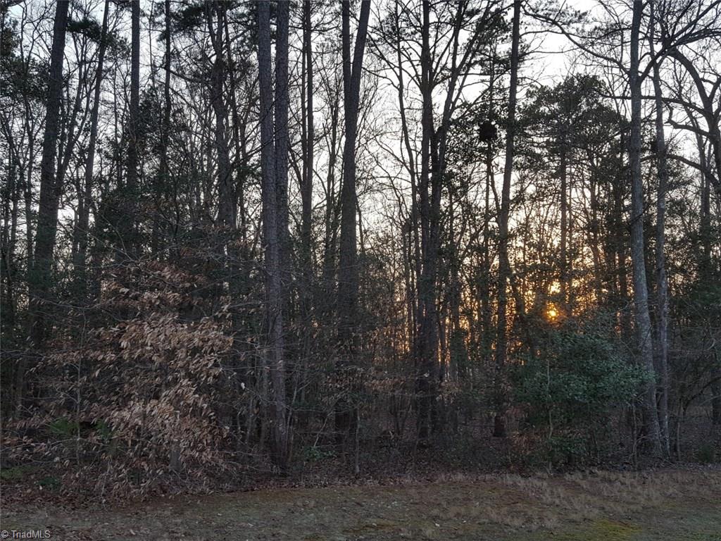1000 Scout Road Lexington, NC 27292 - Photo 2 of 9 Gallery Image 2