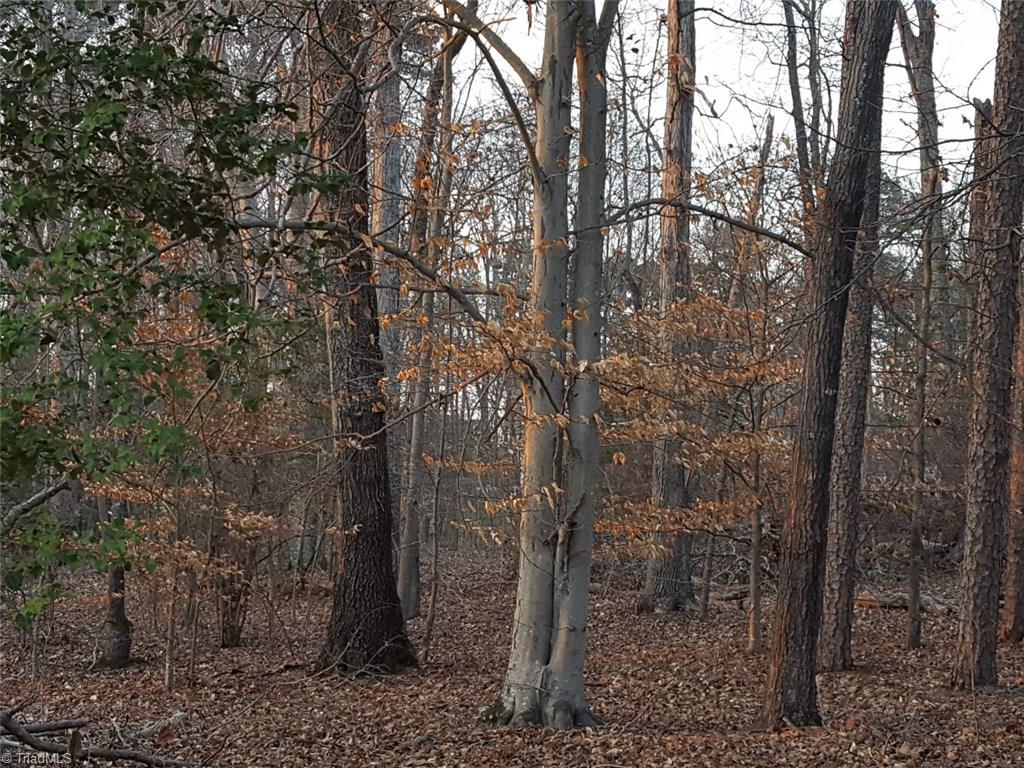 1000 Scout Road Lexington, NC 27292 - Photo 6 of 9 Gallery Image 6