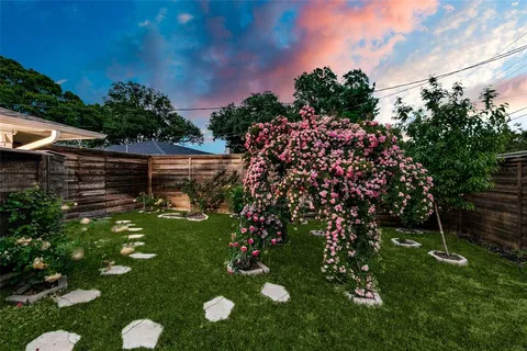 a view of a backyard with plants