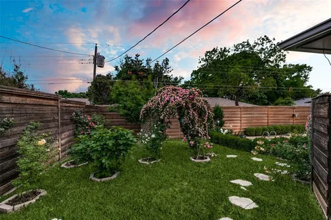 a view of a yard with plants and a fountain