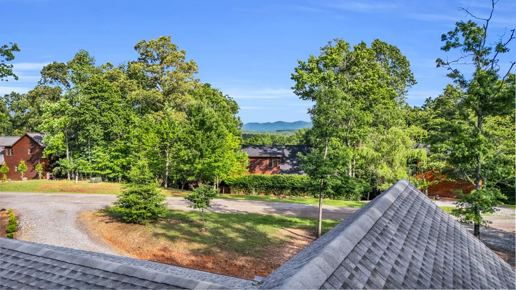 566 High Meadows Drive Morganton, GA 30560 - Photo 43 of 46 a view of a backyard with plants