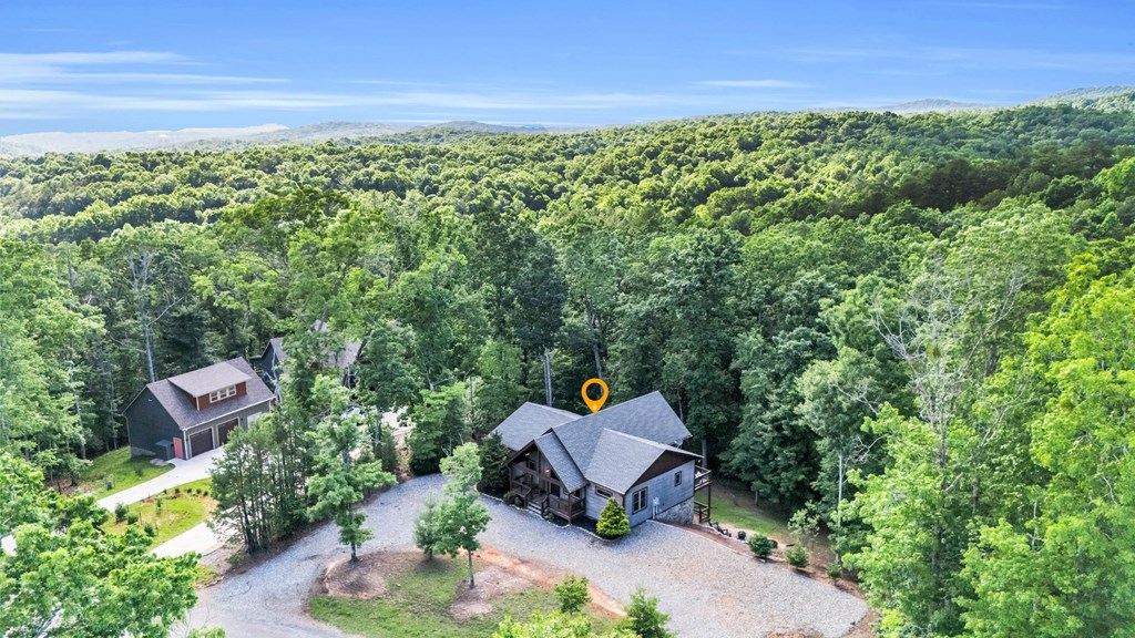 566 High Meadows Drive Morganton, GA 30560 - Photo 44 of 46 an aerial view of a house with garden space and street view