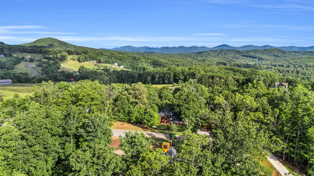566 High Meadows Drive Morganton, GA 30560 - Photo 46 of 46 a view of a lush green forest with mountains in the background