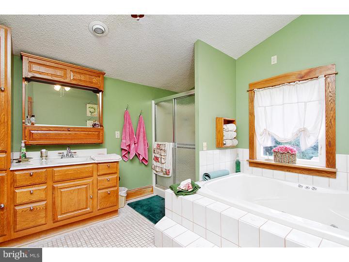 255 Jessups Mill Road Clarksboro, NJ 08020 - Photo 12 of 25 Bathroom