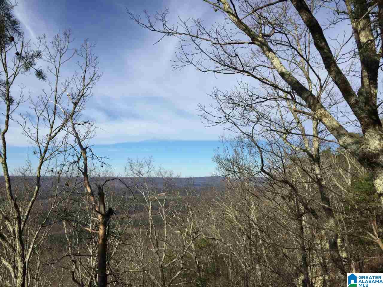 89 North County Road Mentone, AL 35984 - Photo 9 of 18